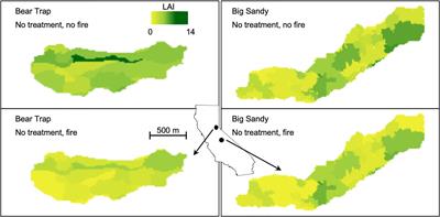 Hydrologic Response of Sierra Nevada Mixed-Conifer Headwater Catchments to Vegetation Treatments and Wildfire in a Warming Climate